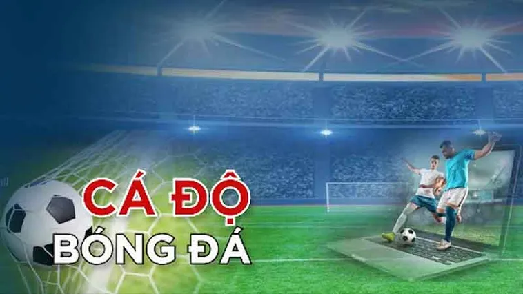 Tìm Hiểu Cá Cược Bóng Đá ABC8 Với Tỷ Lệ Thắng Cao 2 Tìm Hiểu Cá Cược Bóng Đá ABC8 Với Tỷ Lệ Thắng Cao