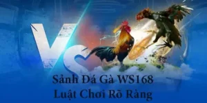 Cách Chơi Đá Gà WS168 Tại ABC8 Với Chiến Thuật Hiệu Quả 1 Cách Chơi Đá Gà WS168 Tại ABC8 Với Chiến Thuật Hiệu Quả