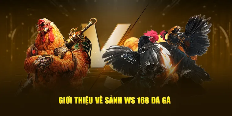 Cách Chơi Đá Gà WS168 Tại ABC8 Với Chiến Thuật Hiệu Quả 2 Cách Chơi Đá Gà WS168 Tại ABC8 Với Chiến Thuật Hiệu Quả