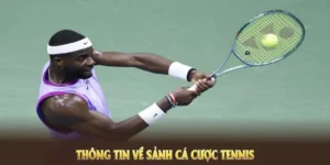 Tìm Hiểu Cá Cược Quần Vợt ABC8 Với Luật Chơi Và Kèo Hấp Dẫn 5 Tìm Hiểu Cá Cược Quần Vợt ABC8 Với Luật Chơi Và Kèo Hấp Dẫn